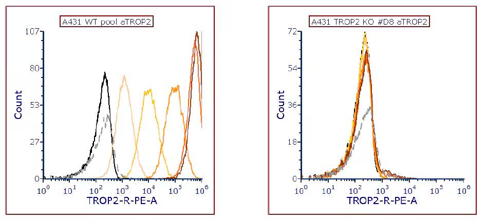 Detection of TROP‑2 in A431 Human Cell Line by Flow Cytometry.
