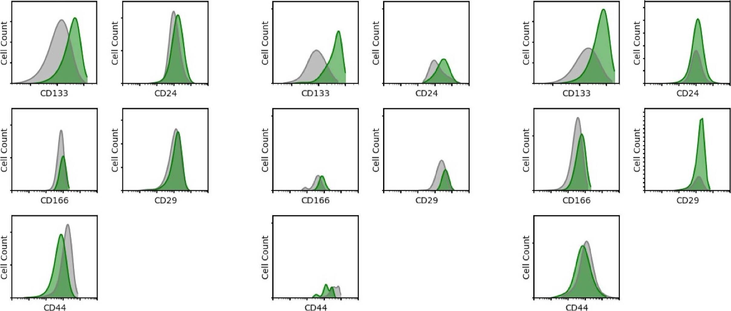 Detection of Human ALCAM/CD166 by Flow Cytometry
