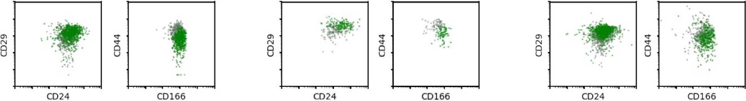 Detection of Human ALCAM/CD166 by Flow Cytometry