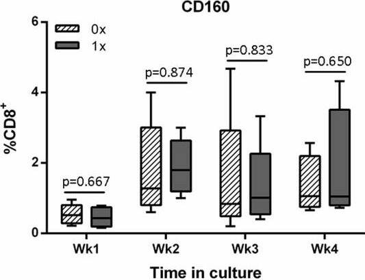 Detection of Human Human CD160 PE-conjugated Antibody by Flow Cytometry