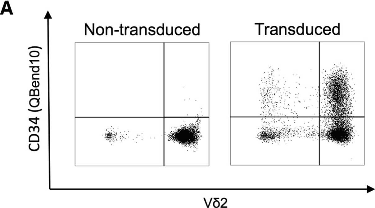 Detection of Human Human CD34 APC-conjugated Antibody by Flow Cytometry