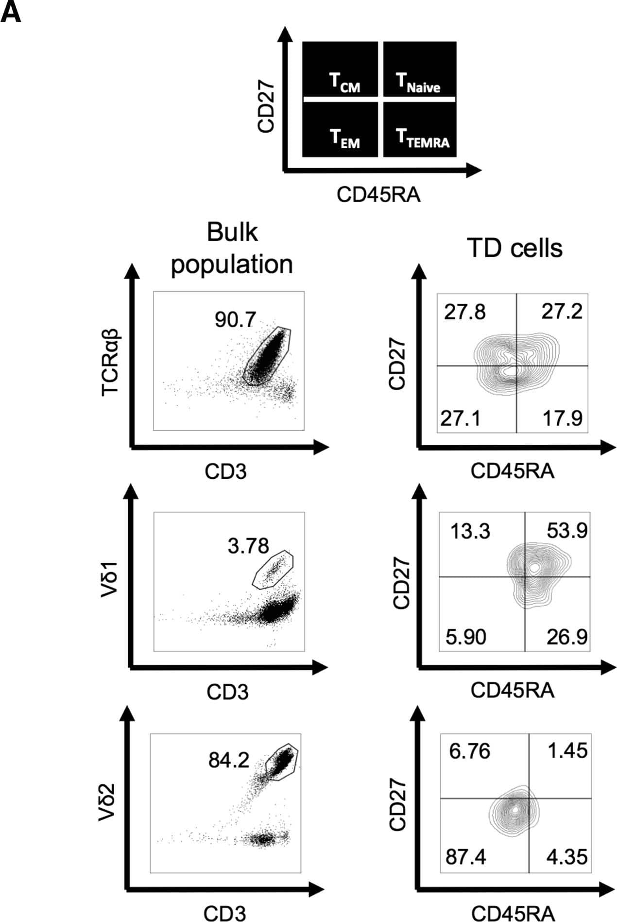 Detection of Human CD34 by Flow Cytometry