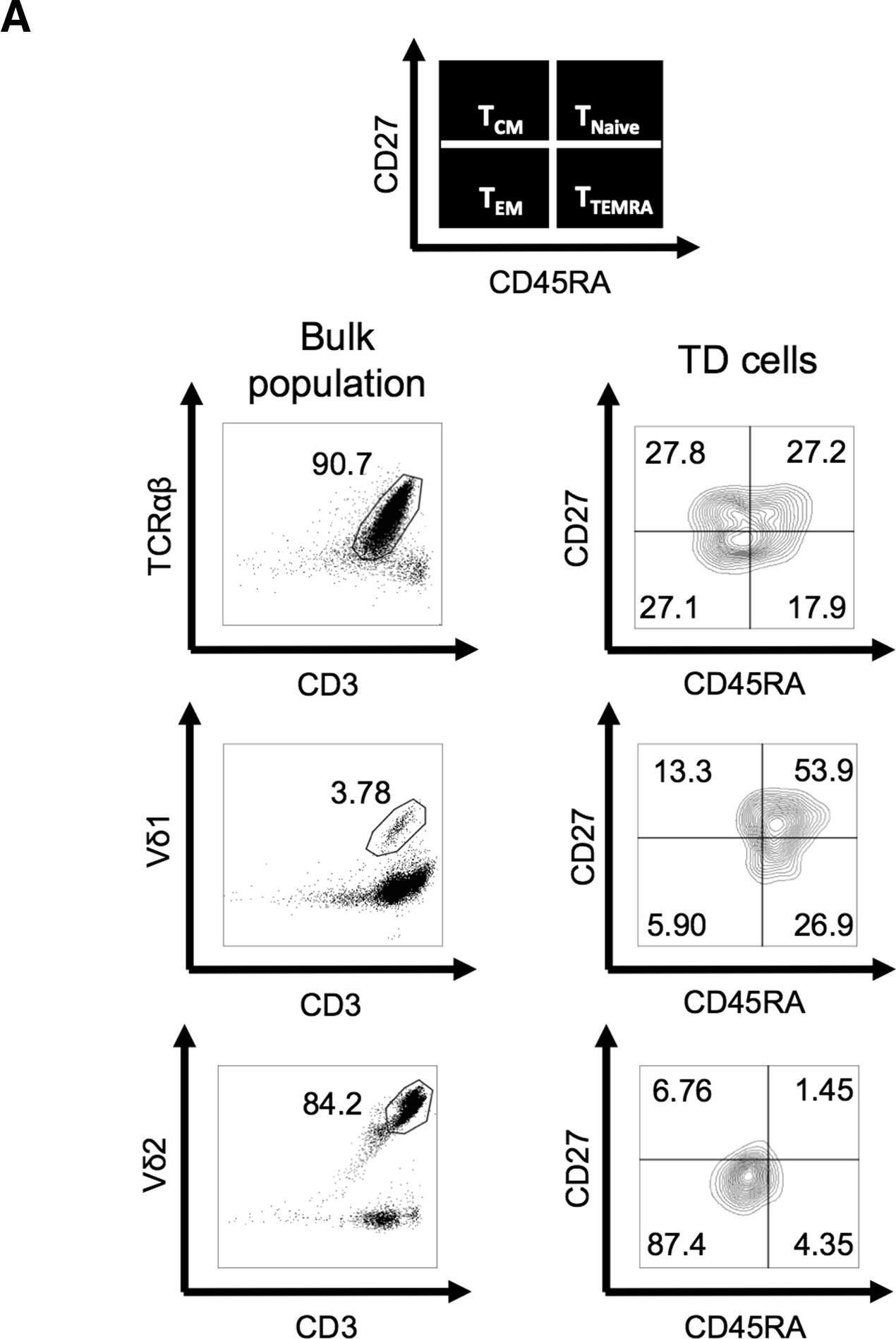 Detection of Human CD34 by Flow Cytometry