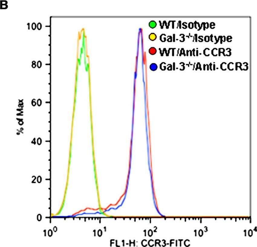 Detection of Mouse CCR3 by Flow Cytometry