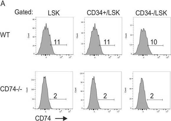 Detection of CD74 by Flow Cytometry