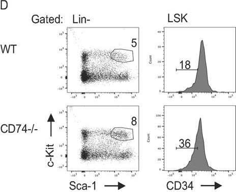 Detection of CD74 by Flow Cytometry