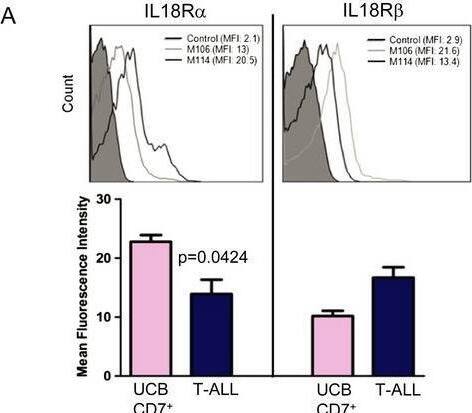 Detection of IL-18 R alpha /IL-1 R5 by Flow Cytometry
