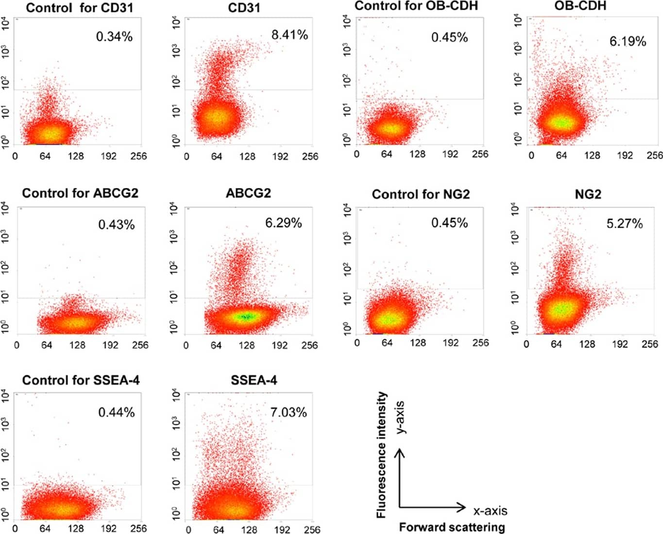 Detection of Porcine ABCG2 by Flow Cytometry