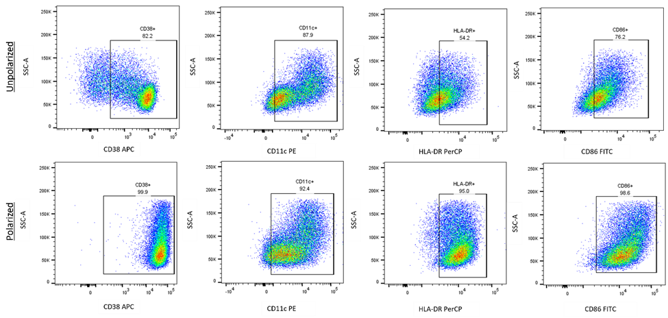 Human M1 Macrophage Panel Data