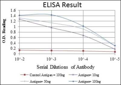 ELISA: gamma Catenin Antibody (4C12) - BSA Free [NBP2-37557]
