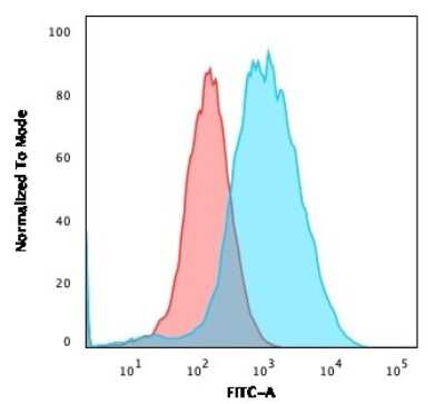 Flow Cytometry: gamma Catenin Antibody (rCTNG/1664) - Azide and BSA Free [NBP3-08469]