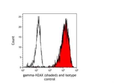 Flow Cytometry: Histone H2AX [p Ser139] Antibody (BLR053F) [NBP3-14678]