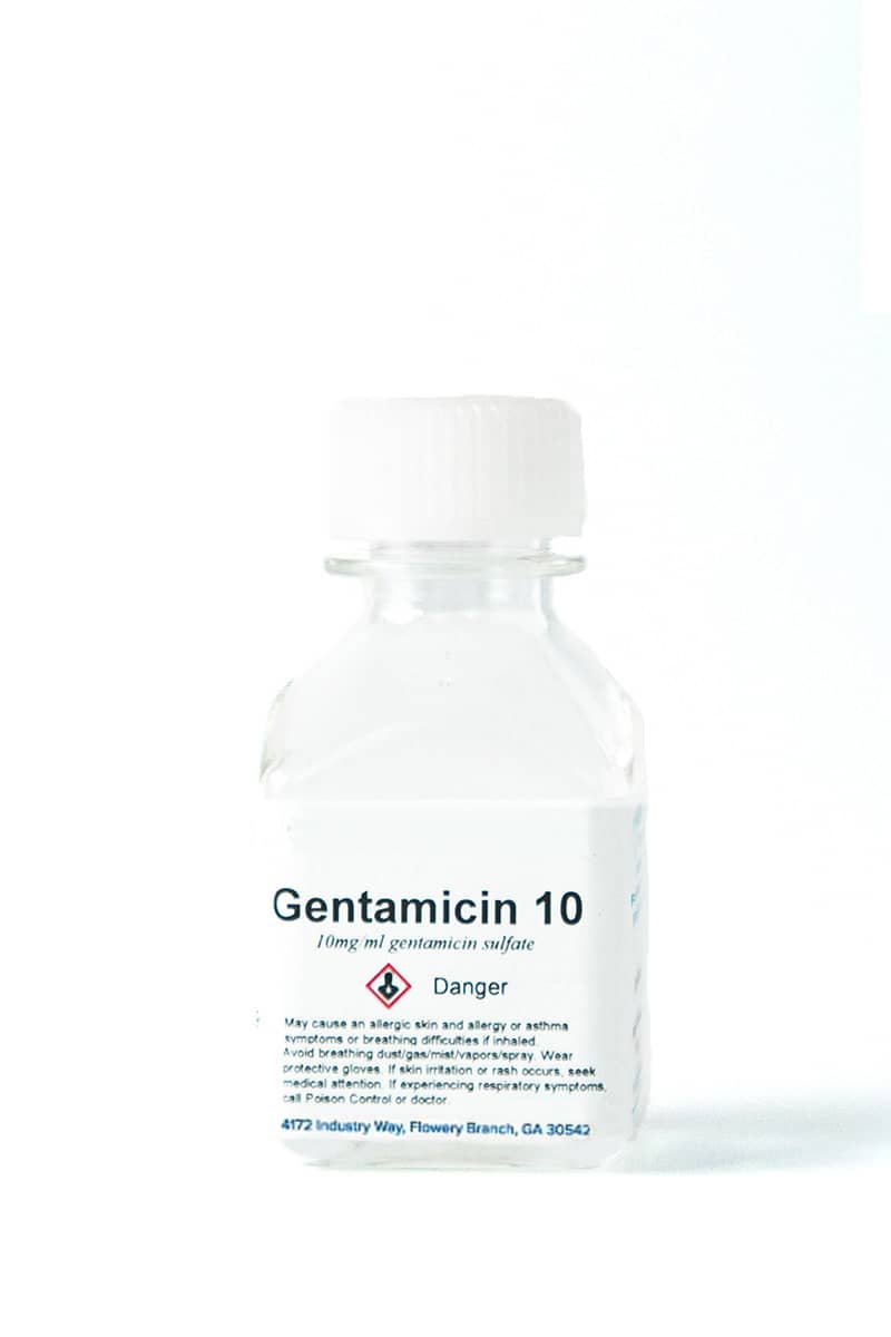 Gentamicin 10 mg/mL