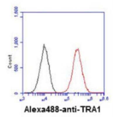 Flow Cytometry: gp96/HSP90B1/GRP94 Antibody (2H3) - BSA Free [NBP1-04346]