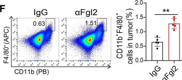 FGL2/Fibroleukin Antibody (6D9) - Azide and BSA Free