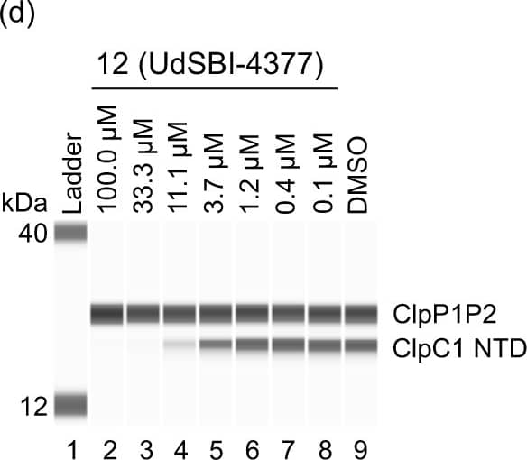 Sheep IgG Horseradish Peroxidase-conjugated Antibody