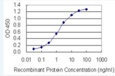 ELISA: hnRNP C1 + C2 Antibody (4E8) [H00003183-M02-100ug]