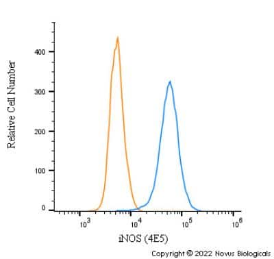 Flow Cytometry: iNOS Antibody (4E5) - BSA Free [NBP2-22119]