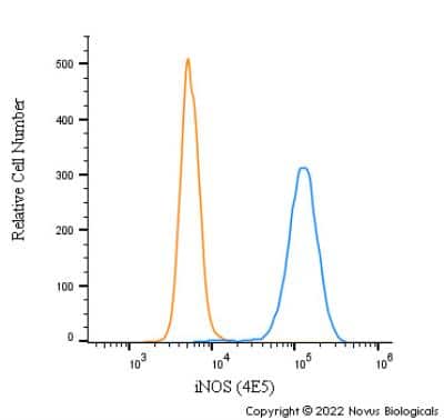Flow Cytometry: iNOS Antibody (4E5) - BSA Free [NBP2-22119]