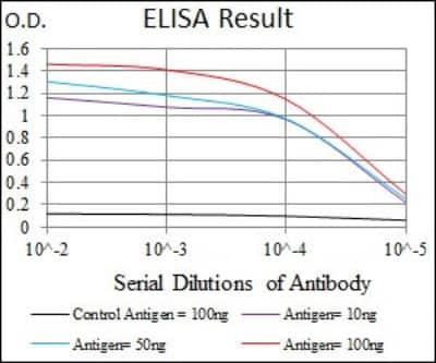 ELISA: iNOS Antibody (4E5) - BSA Free [NBP2-22119]