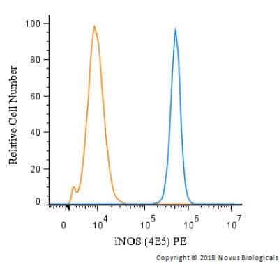 Flow Cytometry: iNOS Antibody (4E5) - BSA Free [NBP2-22119]