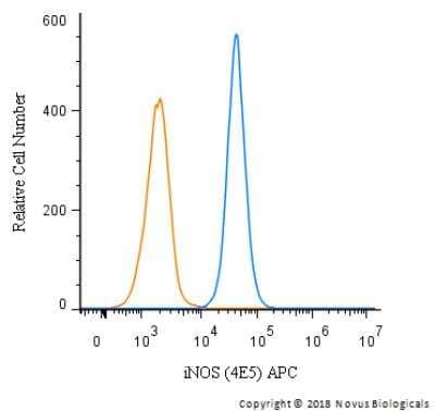 Flow Cytometry: iNOS Antibody (4E5) - BSA Free [NBP2-22119]