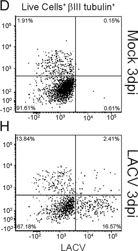 Detection of Human beta-III Tubulin by Flow Cytometry