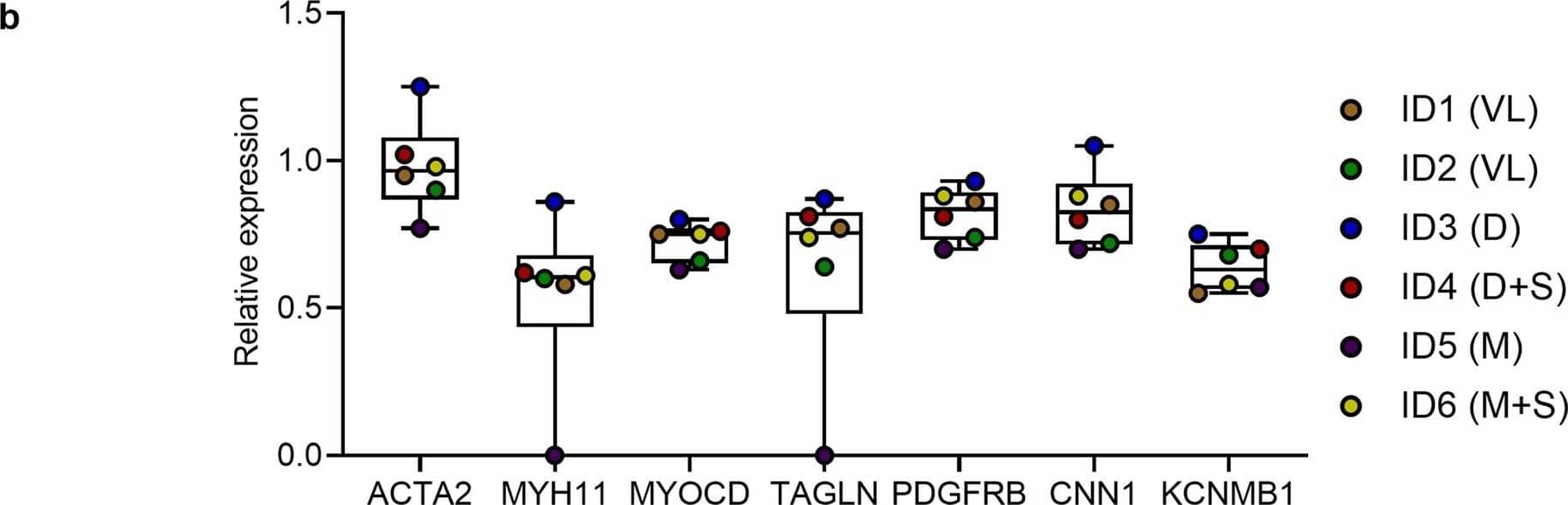 Detection of Human alpha-Smooth Muscle Actin by Flow Cytometry