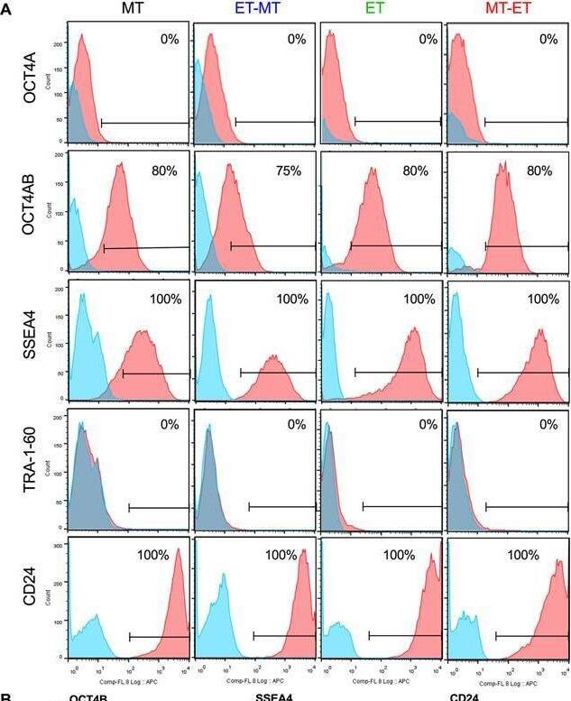 Detection of Human Oct-3/4 by Flow Cytometry