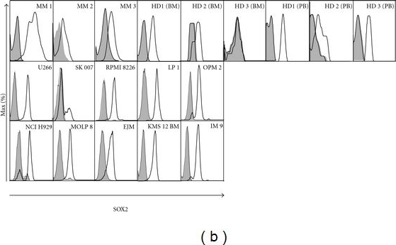 Detection of Human SOX2 by Flow Cytometry