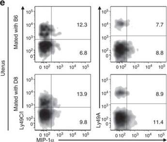 Detection of Mouse CCL3/MIP-1 alpha by Flow Cytometry