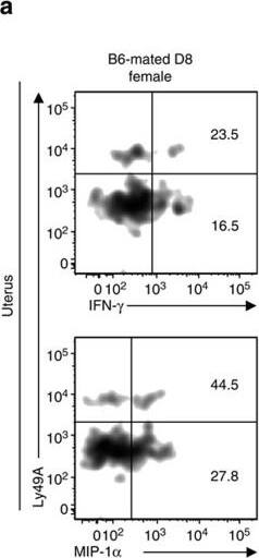 Detection of Mouse CCL3/MIP-1 alpha by Flow Cytometry