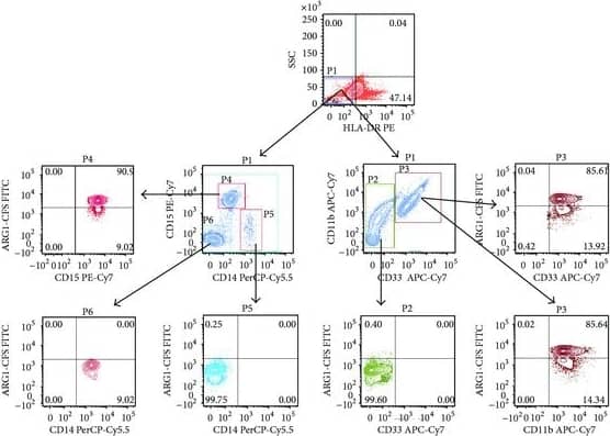 Detection of Human Arginase 1/ARG1/liver Arginase by Flow Cytometry