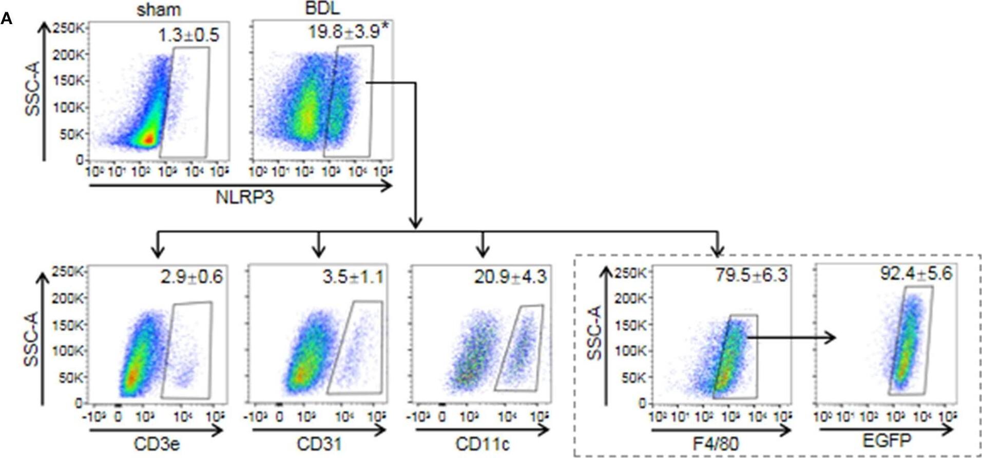 Detection of Mouse NLRP3/NALP3 by Flow Cytometry