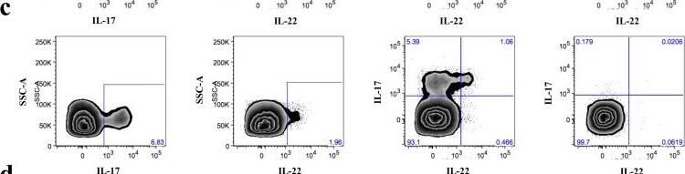 Detection of Human IL-22 by Flow Cytometry