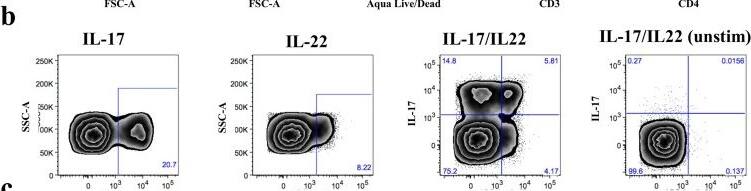 Detection of Human IL-22 by Flow Cytometry
