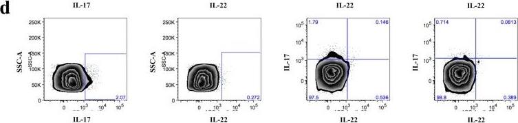 Detection of Human IL-22 by Flow Cytometry