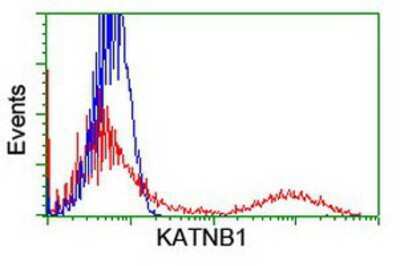 Flow Cytometry: katanin-p80 Antibody (OTI5C4) [NBP2-01383]