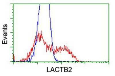 Flow Cytometry: lactamase, beta 2 Antibody (OTI2F9) [NBP2-00509]