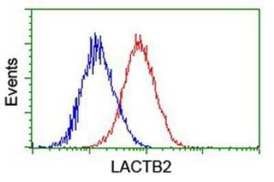 Flow Cytometry: lactamase, beta 2 Antibody (OTI2F9) - Azide and BSA Free [NBP2-71901]