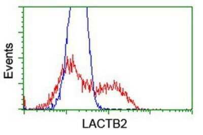 Flow Cytometry: lactamase, beta 2 Antibody (OTI2F9) - Azide and BSA Free [NBP2-71901]