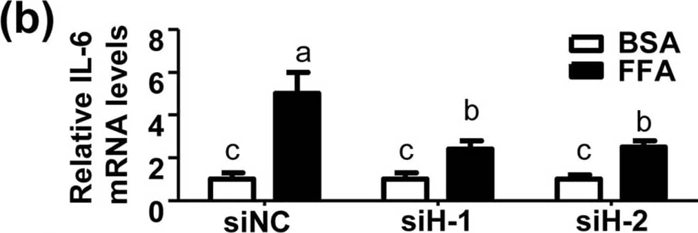 Detection of Mouse IL-6