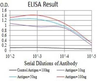 ELISA: mGluR3 Antibody (6H10C3) - BSA Free [NBP2-61842]