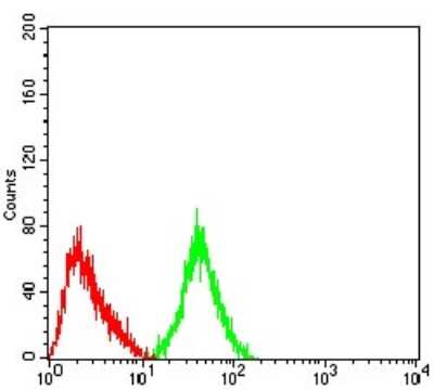Flow Cytometry: mGluR3 Antibody (7A5A6) - BSA Free [NBP2-61843]