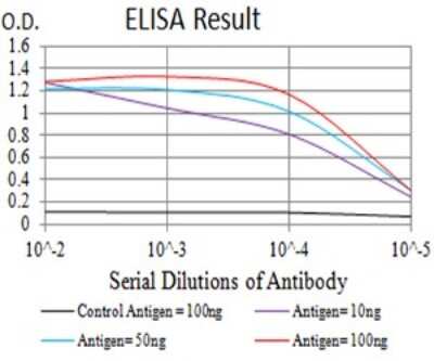 ELISA: mGluR6 Antibody (4C11E12) - BSA Free [NBP2-61851]