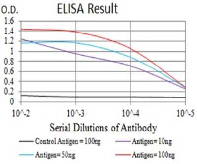 ELISA: mGluR6 Antibody (7D9C9) - BSA Free [NBP2-61850]