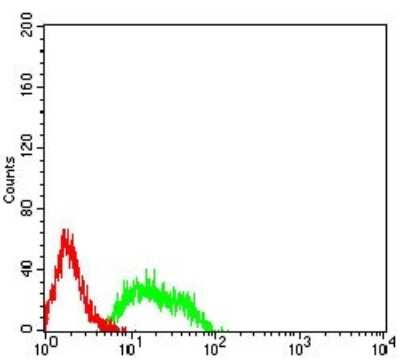 ELISA: mGluR8 Antibody (4C1C1) - BSA Free [NBP2-61857]