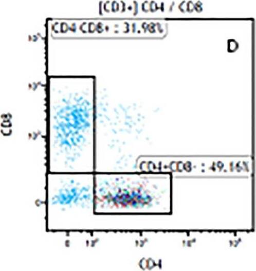 Detection of Mouse Human CD3 epsilon Antibody by Flow Cytometry