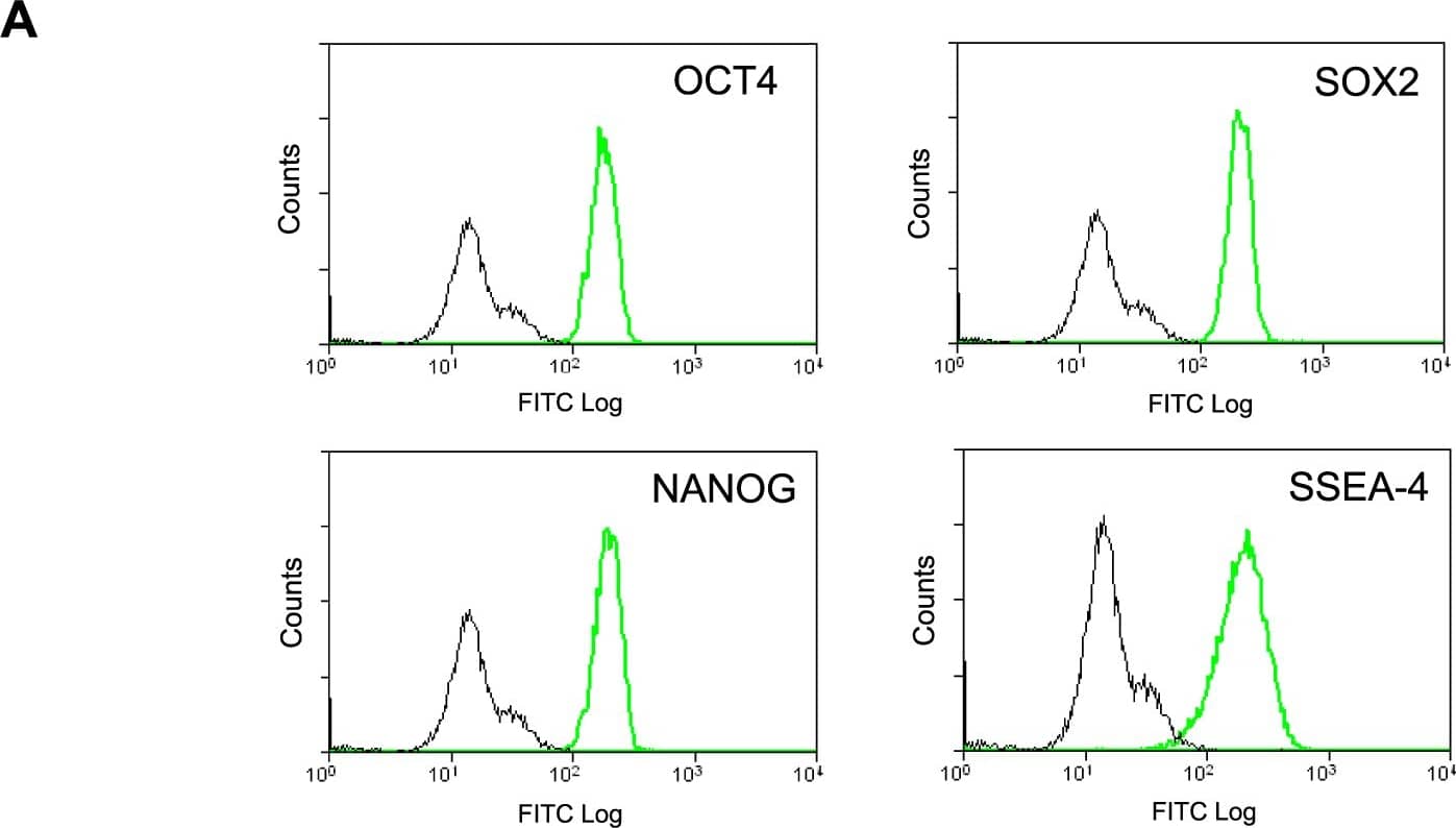 Detection of Human ERK1/ERK2 by Flow Cytometry