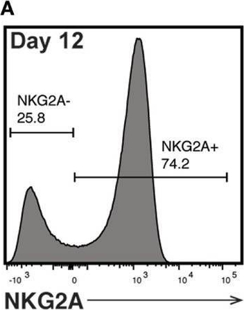 Detection of NKG2A/CD159a by Flow Cytometry